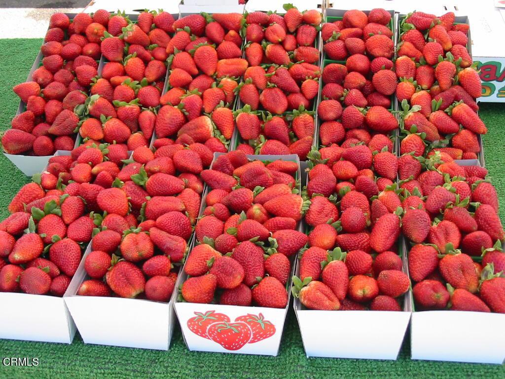 Hueneme Bay 1 - 148801 - Residential