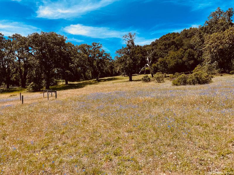 34221 Robinson Canyon Road