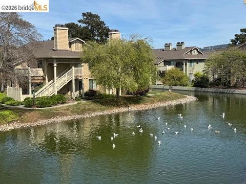 Photo of 220 Lakeshore Ct Ct, Richmond, CA 94804 (MLS # 41128755)