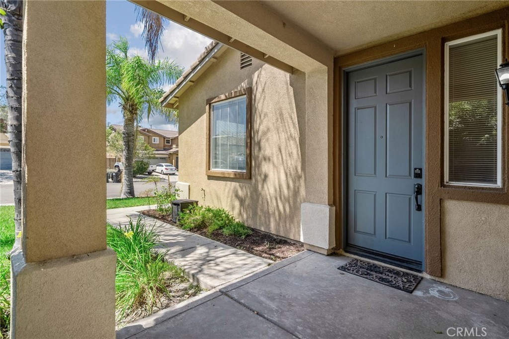 15446 Buchanan