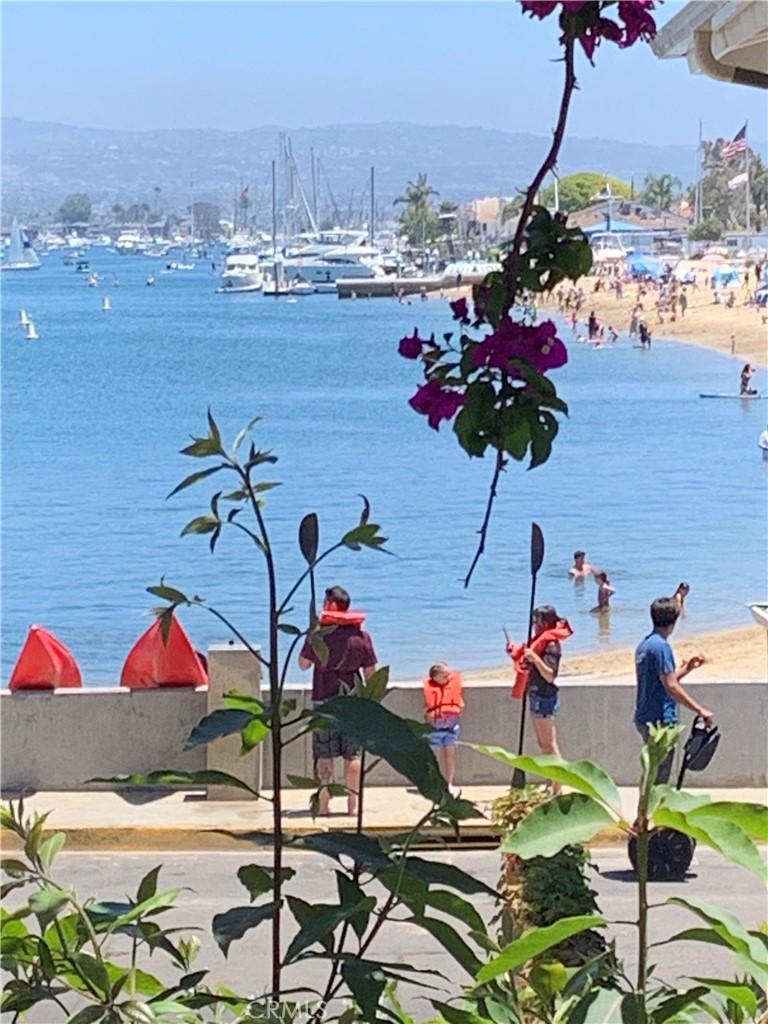 Balboa Peninsula (Residential) (BALP) - Residential Lease