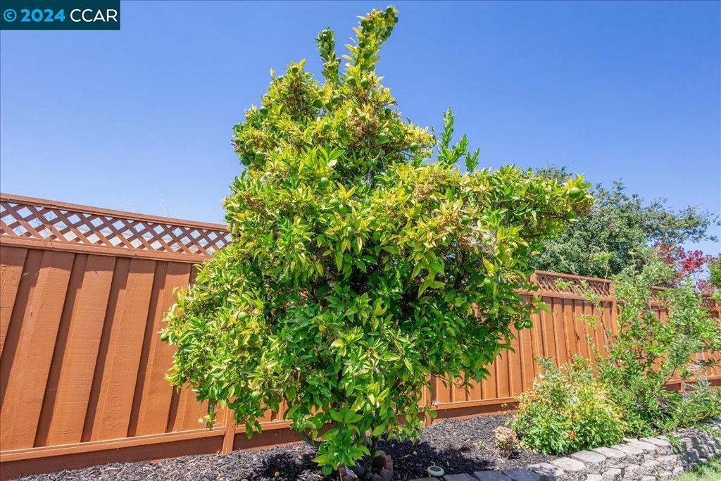 SAN LORENZO VILG - Residential