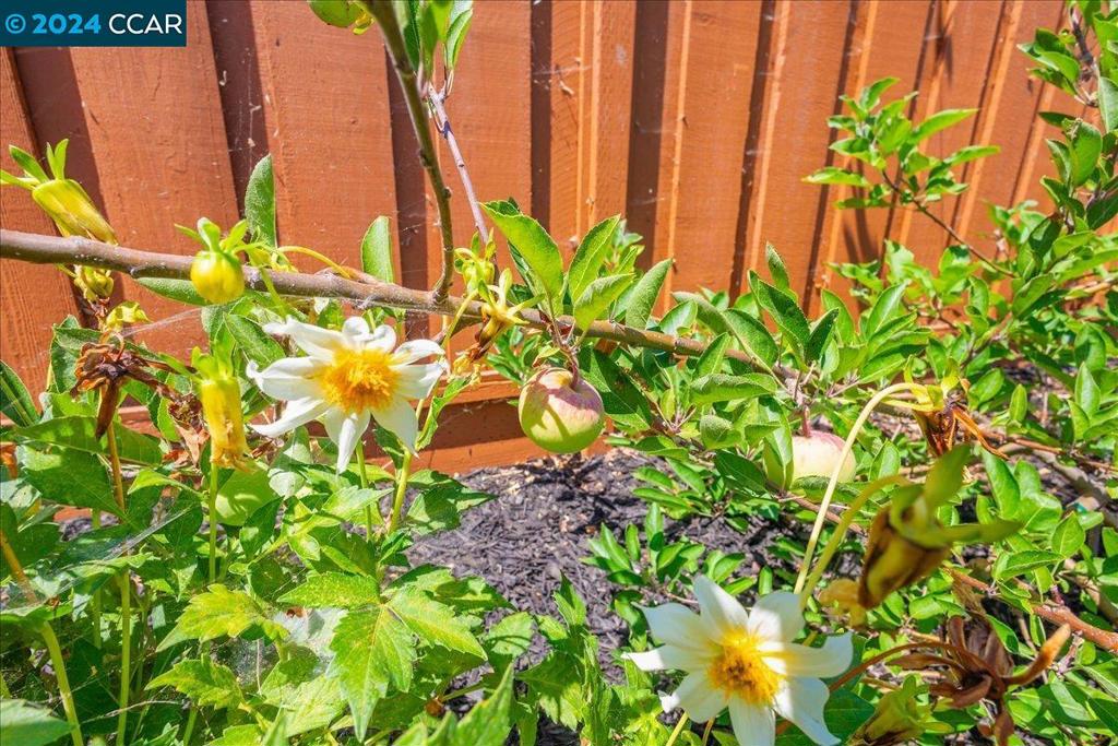 SAN LORENZO VILG - Residential