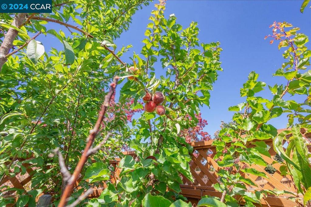 SAN LORENZO VILG - Residential