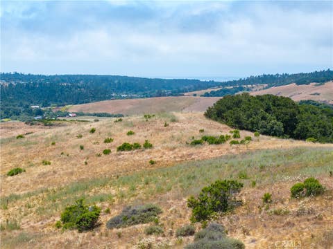 Tiny photo for 4344 Dos Cruces Lane, Cambria, CA 93428 (MLS # NS26125654)