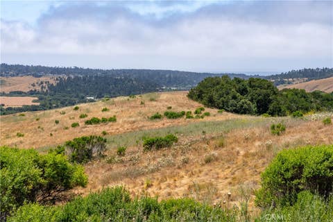 Tiny photo for 4344 Dos Cruces Lane, Cambria, CA 93428 (MLS # NS26125654)