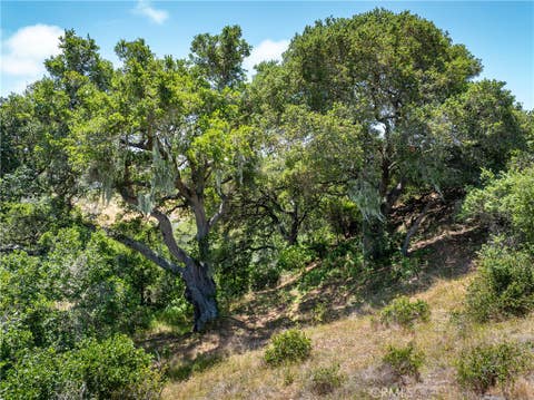 Tiny photo for 4344 Dos Cruces Lane, Cambria, CA 93428 (MLS # NS26125654)