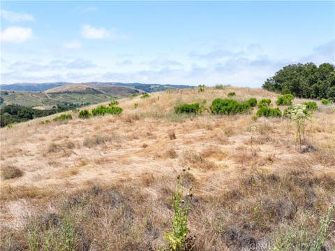 Tiny photo for 4344 Dos Cruces Lane, Cambria, CA 93428 (MLS # NS26125654)