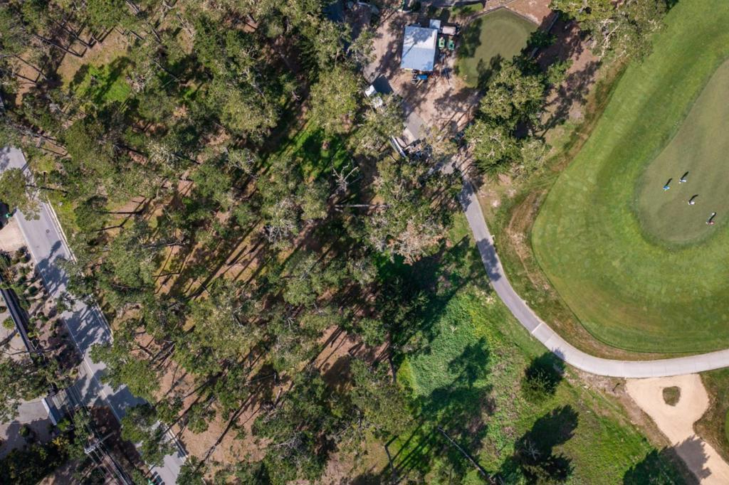 1407 Viscaino Road