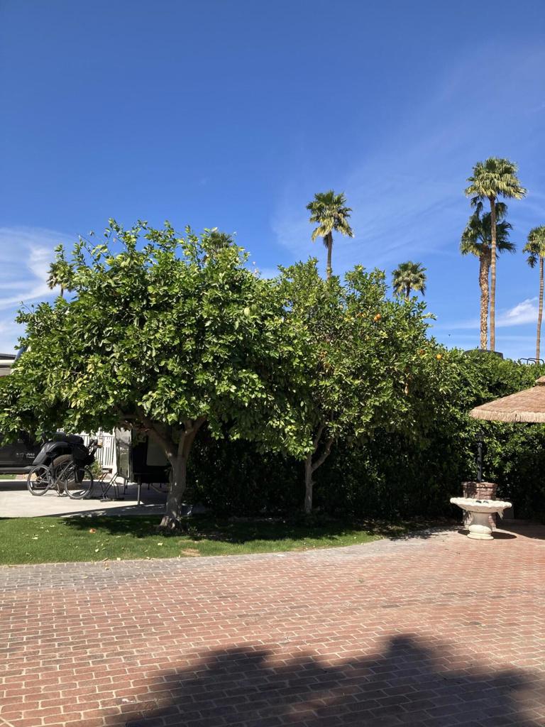69411 Ramon Road 201