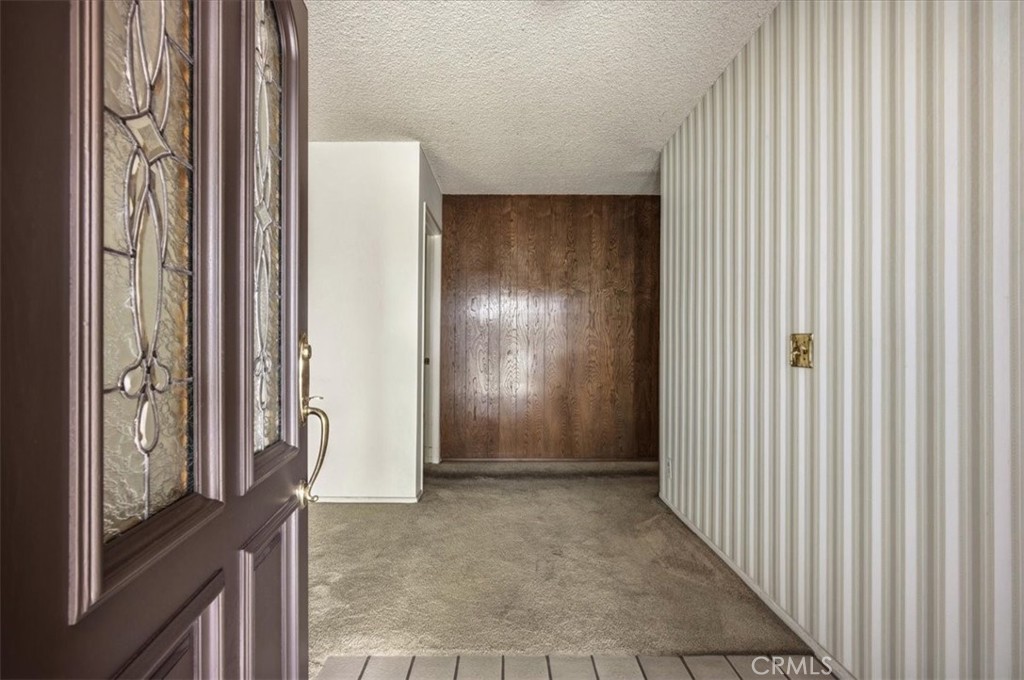 929 W Pinto Court