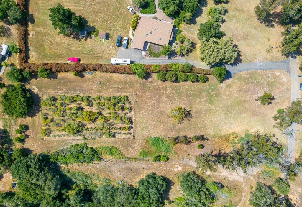 5362 Olive Hill Road