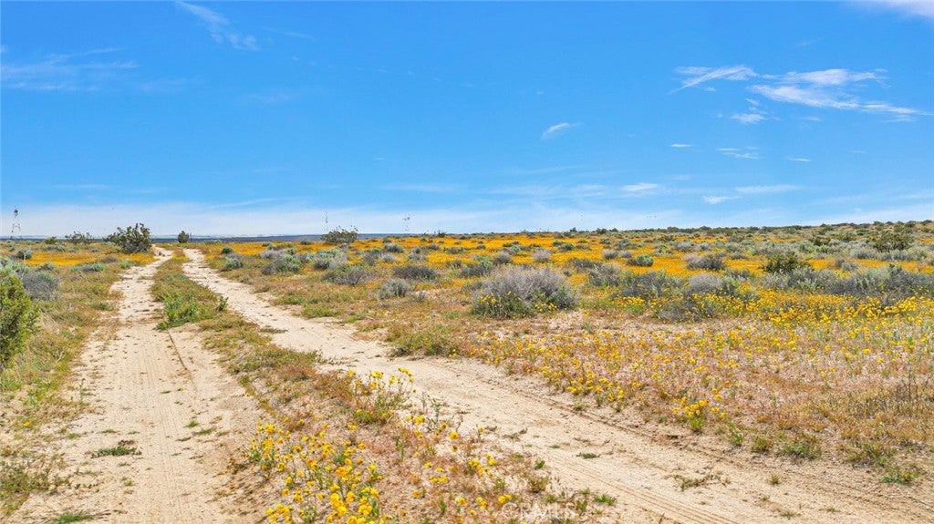 49019133 3431 Powerline Road