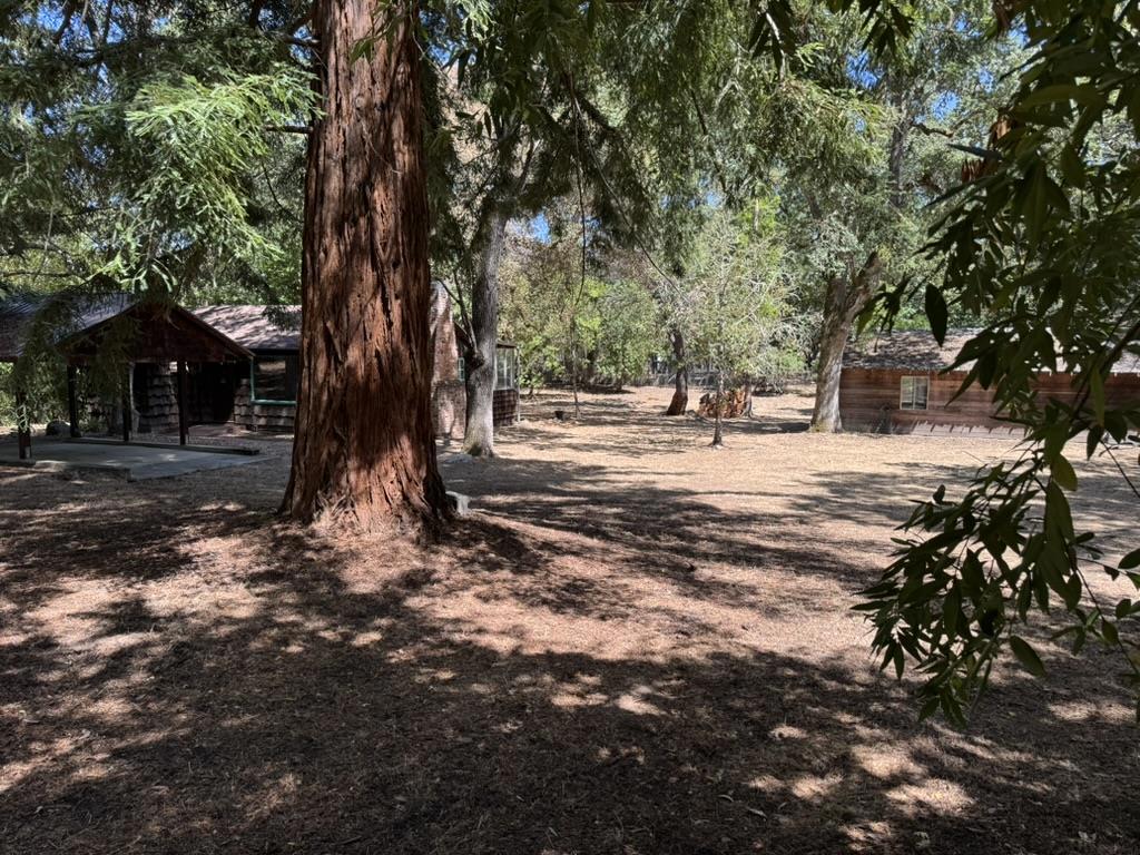 245 Bonita Road