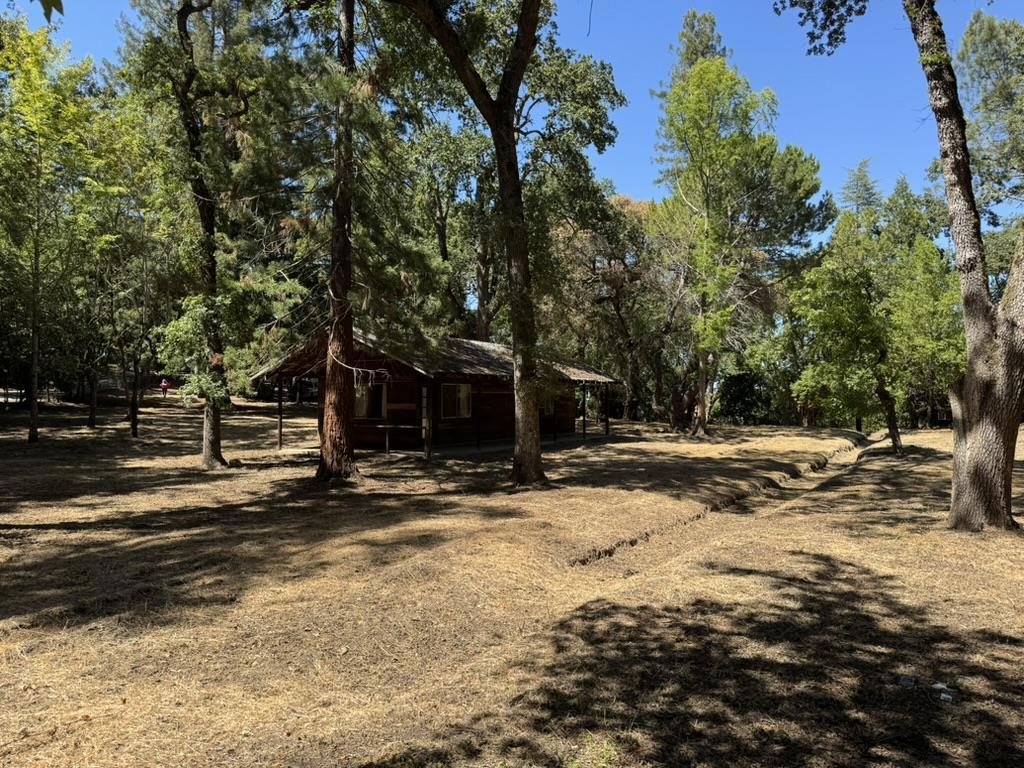 245 Bonita Road