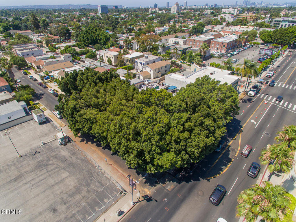 Properties 3 5426 Melrose Avenue