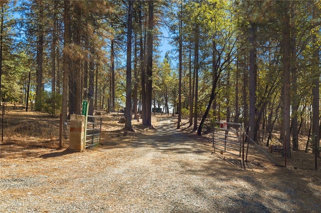 4602 Wendlis Road
