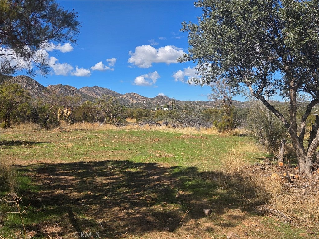4 Taron Trail