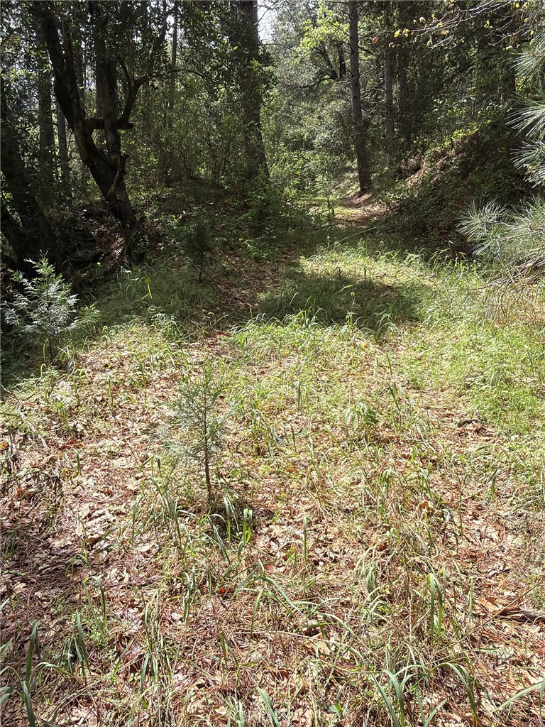 39 Anderson Valley Road