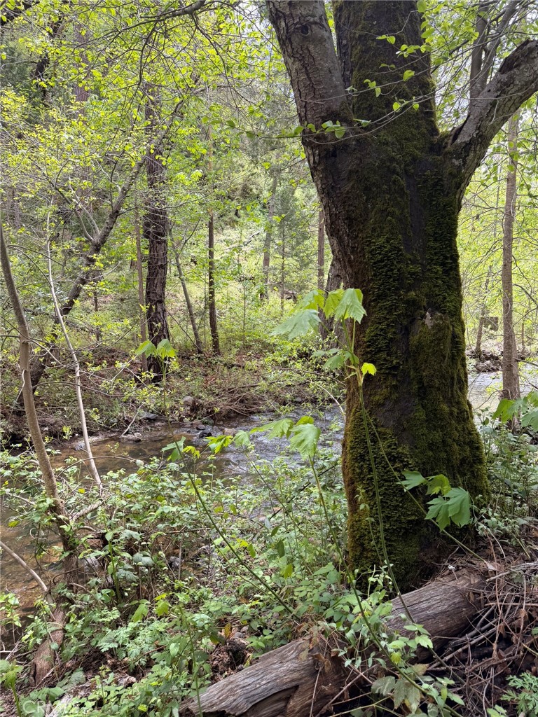 39 Anderson Valley Road