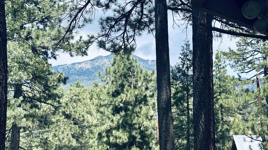 Not Applicable-1 - Residential