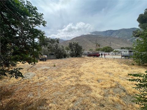 52286 Maxine Cabazon CA 92230