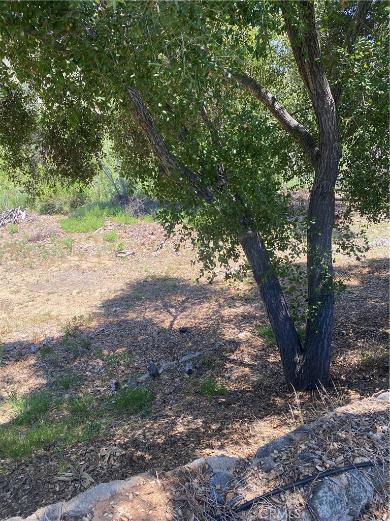 466 Stewart Canyon Road