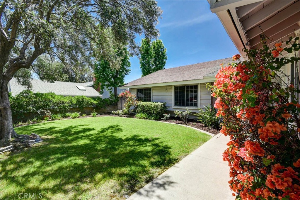1919 Austin Court