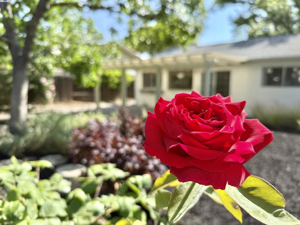 SHADOWBROOK - Residential