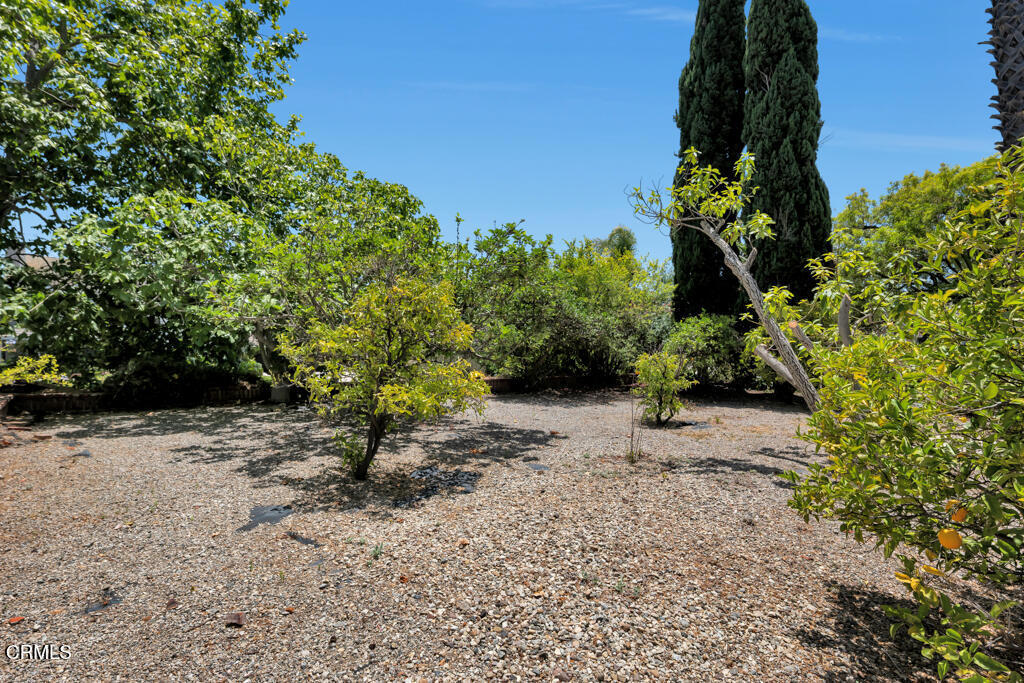 Saddlebrook - 2532 - Residential