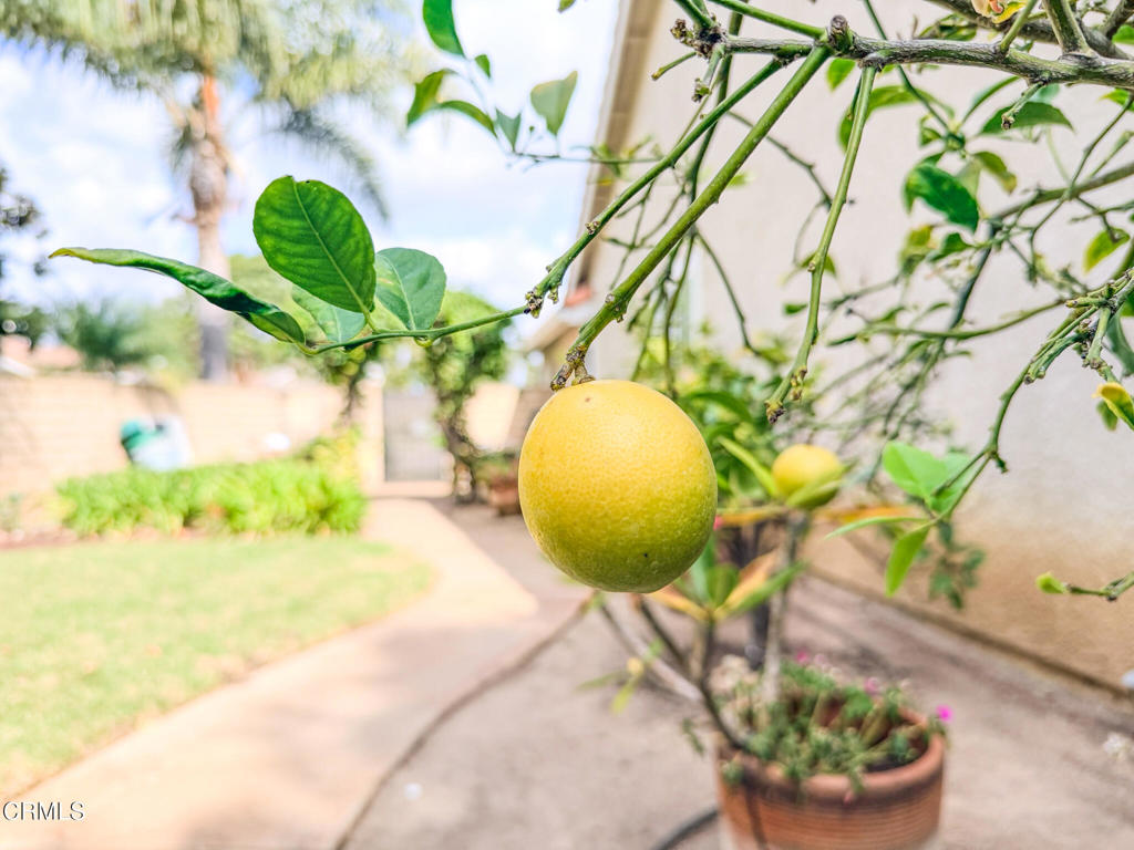 Cypress Point 7 - 338407 - Residential Lease