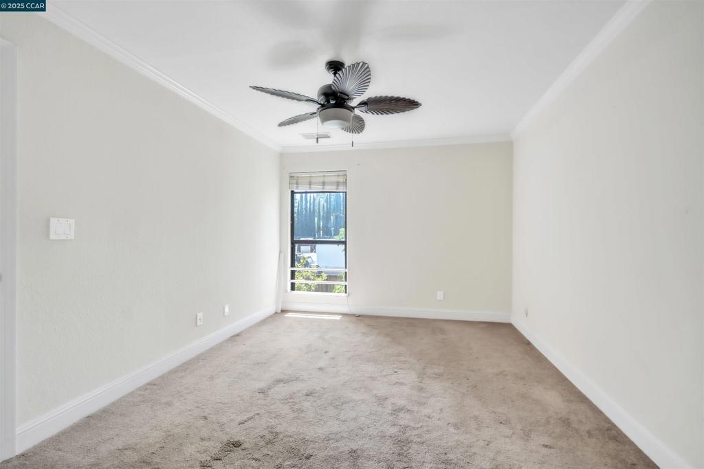 WINDSOR TERRACE - Residential