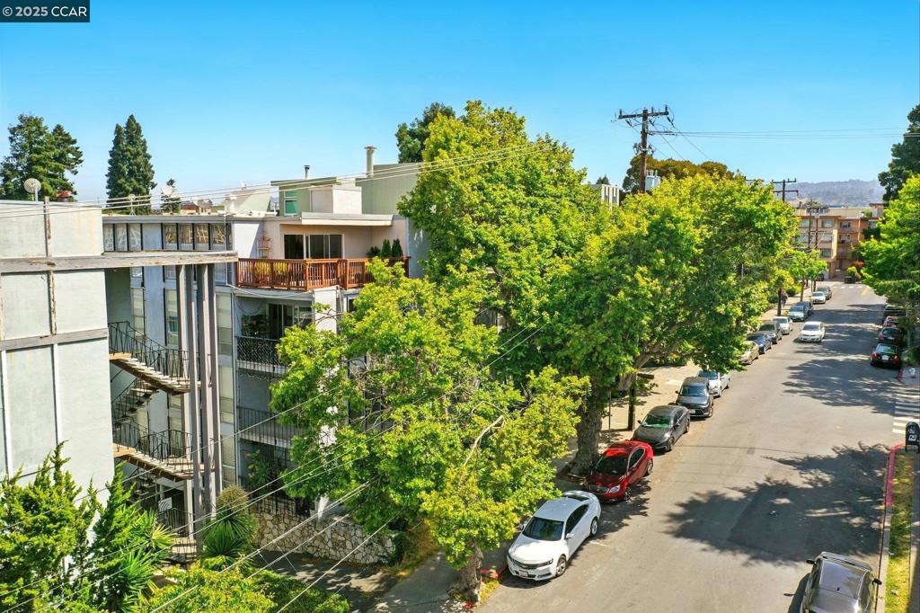 ADAMS POINT - Residential