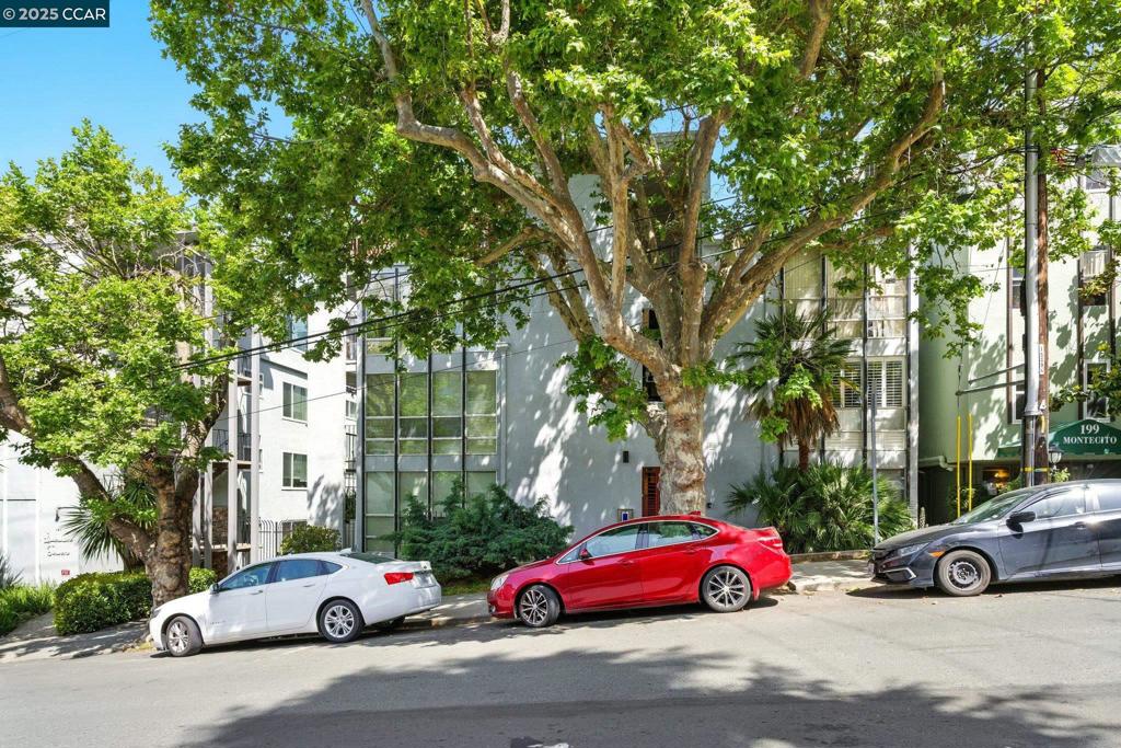 ADAMS POINT - Residential