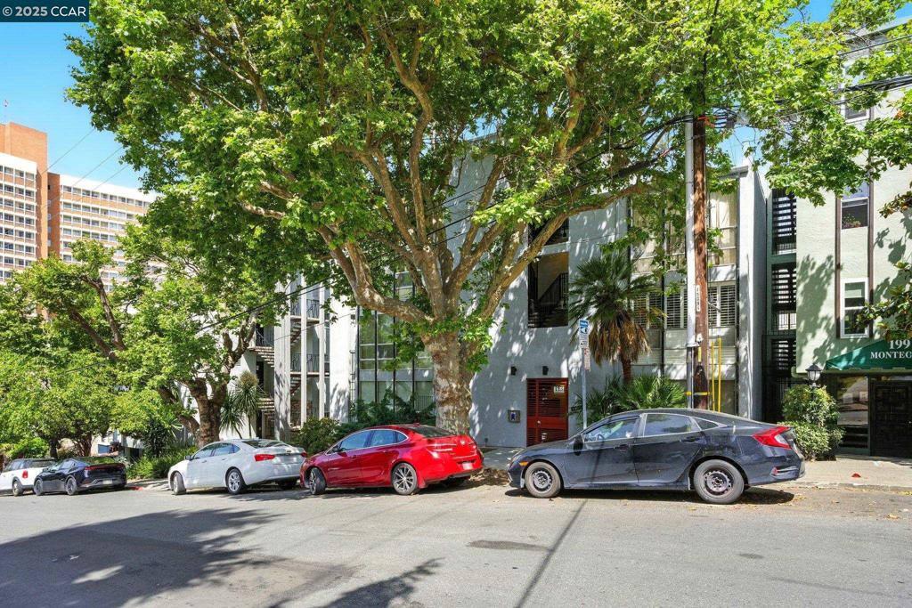 ADAMS POINT - Residential