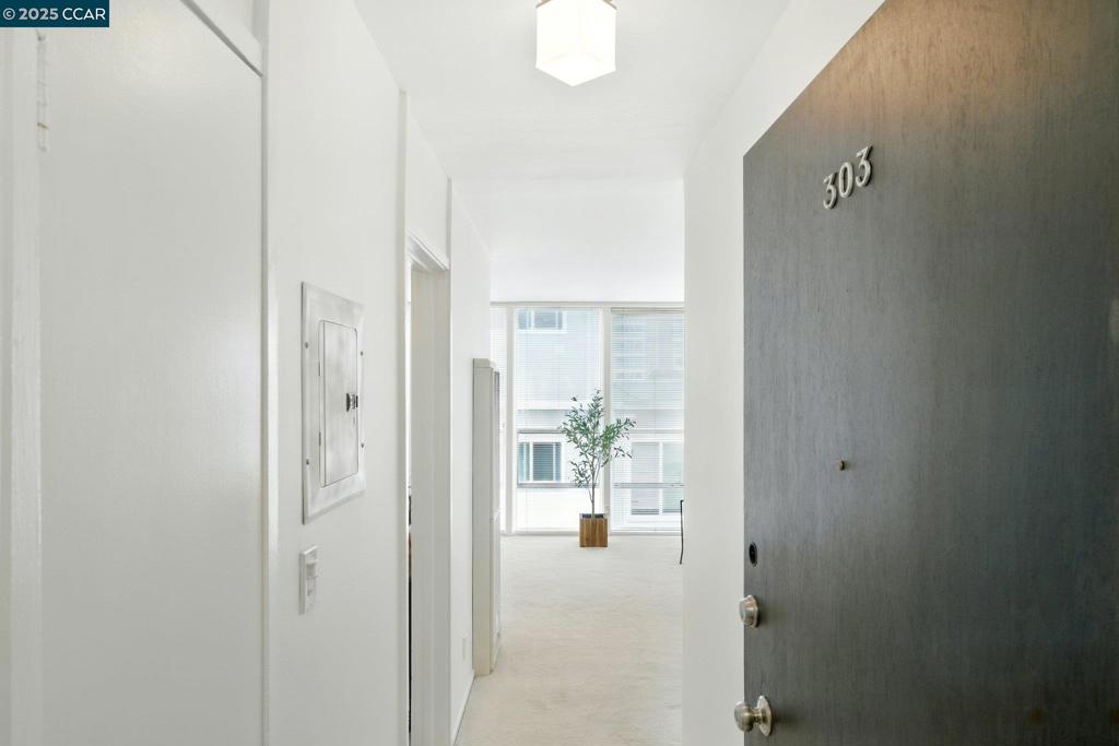 ADAMS POINT - Residential
