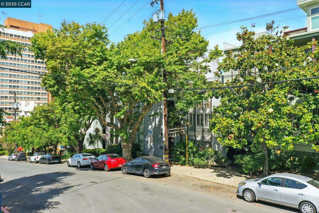 ADAMS POINT - Residential