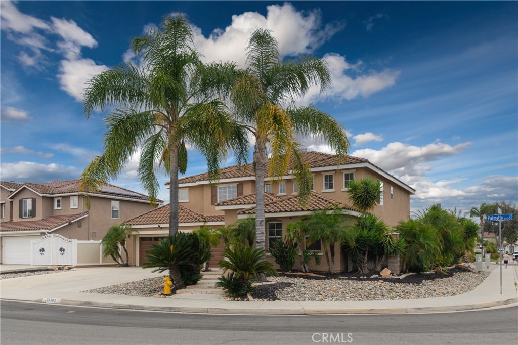 26103 Palmetto