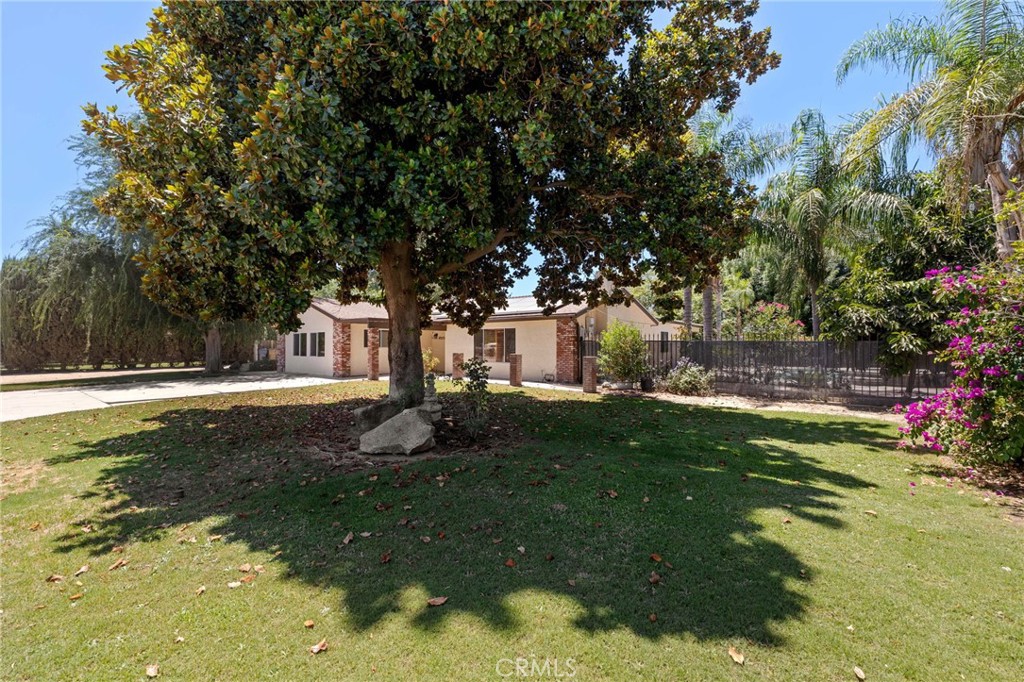 921 Christian Avenue