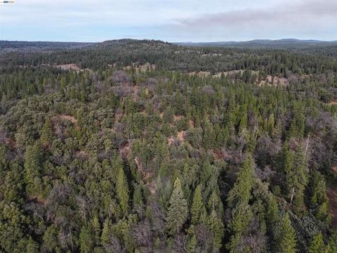 Photo of 4700 Kelley Pl Pl, Garden Valley, CA 95633 (MLS # 41130593)