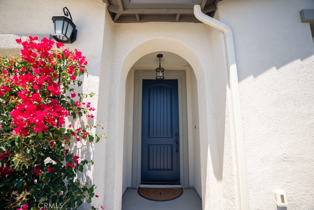 31192 Briar Rose Freeway