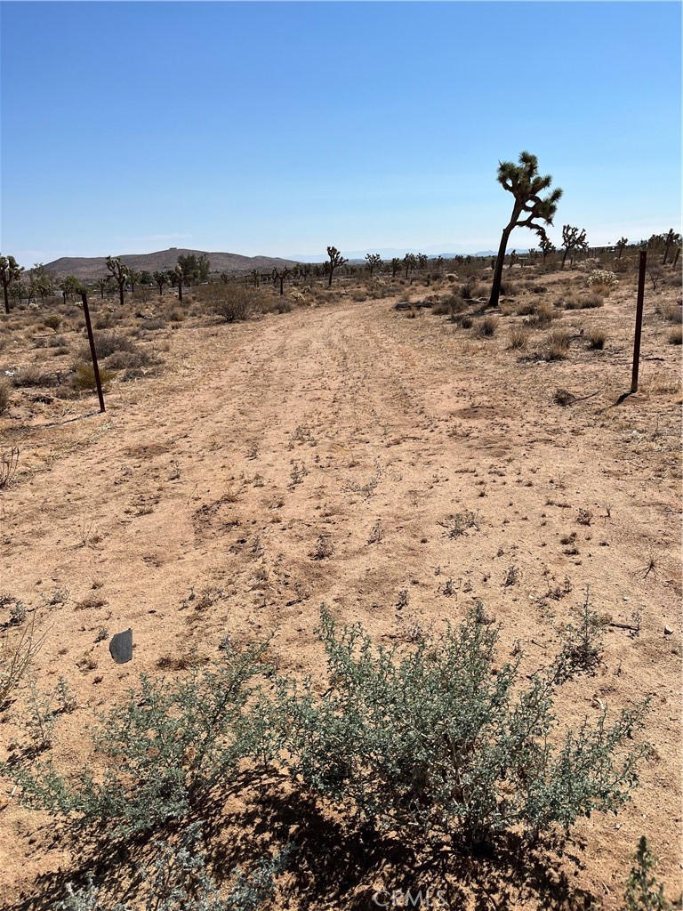 6.26 Acres on paved road with water to property. Water Meter paid for and installed. Surveyed corners on adjacent property. Stunning views with several Joshua Trees, but NOT in the way of building. Plenty of room for Home or shop/studio. Electric nearby. Two bed room, two bath house plans offered. A must see and walk the lot....see the views. Drive way is graded to the middle of the property with circular turn around.
