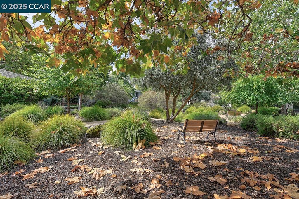 ROSSMOOR - Residential