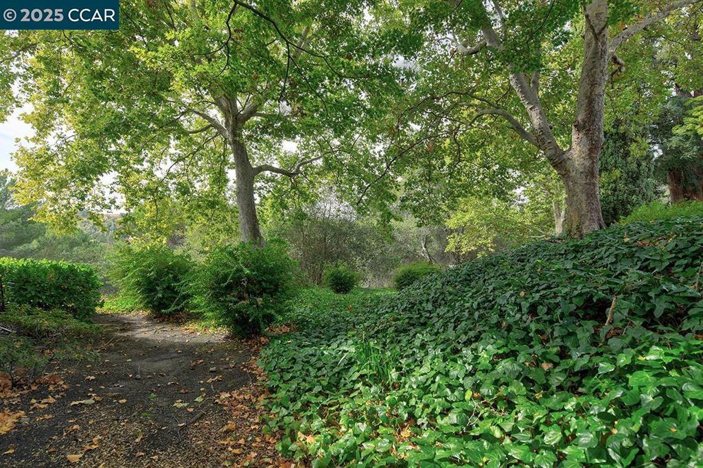 ROSSMOOR - Residential