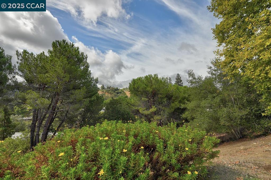 ROSSMOOR - Residential