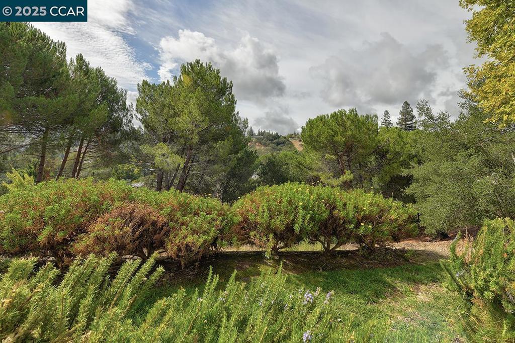 ROSSMOOR - Residential