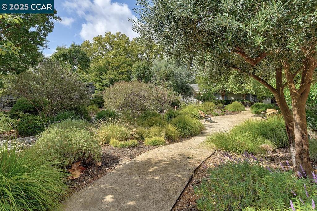 ROSSMOOR - Residential