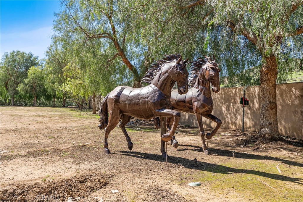16292 Jackson Ranch Road