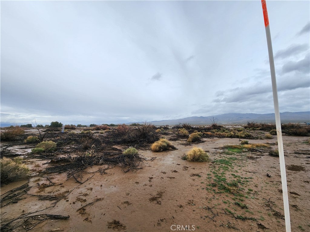 20 AC Morgan Lane