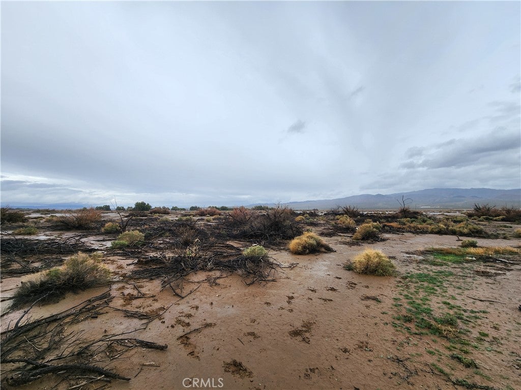 20 AC Morgan Lane